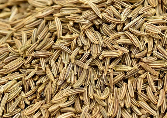 Caraway